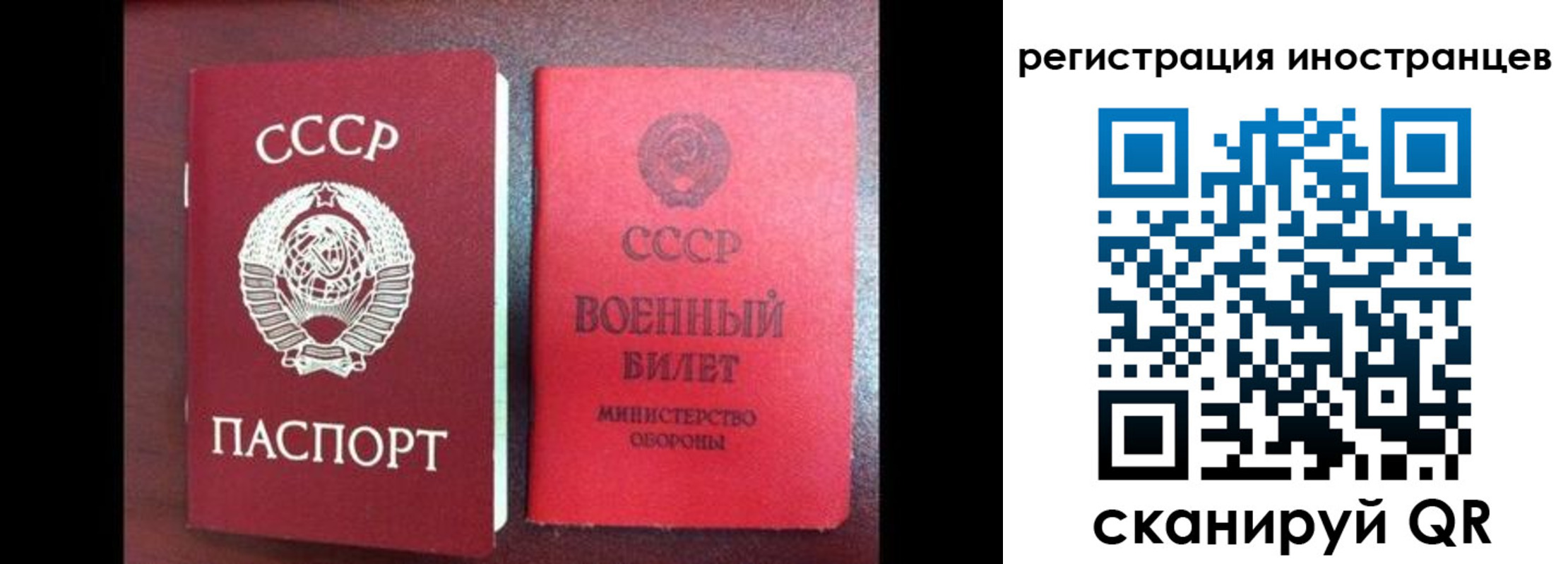временная регистрация для всех в Болотном
